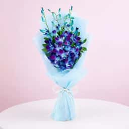 Mystic Orchid with Cake Combo