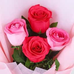 Red and pink mix rose bouquet delivery in Vadodara