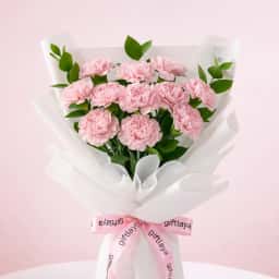 Pink Passion Carnations