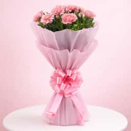 Pink Carnations Bunches