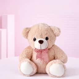 Sweet Teddy Love with Pink Rose