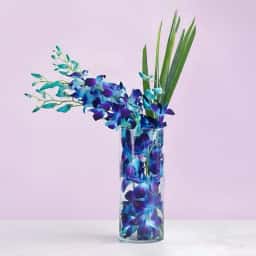 Radiant Orchid Vase with Chocolate