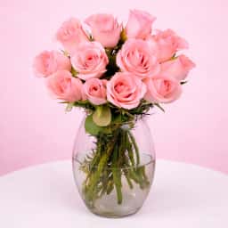 Adorable Pink Roses in a Vase