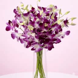 Orchids in a Vase