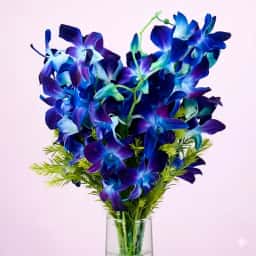 Pretty Blue Orchids Bunch