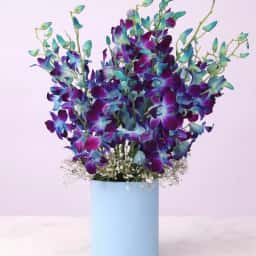 Dreamy Blue Orchids in Vase