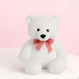 Purple Bloom with Teddy