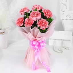 pink carnation flower delivery in Indore