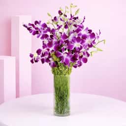 Romantic Purple Orchid Bunch