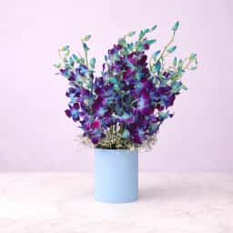 Dreamy Blue Orchids in Vase