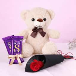 Single Rose & Teddy Chocolate Combo