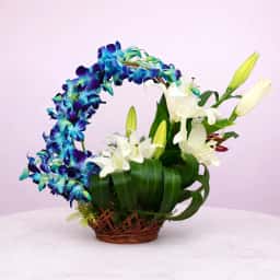 Orchid Basket