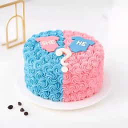 He or She Theme Cake
