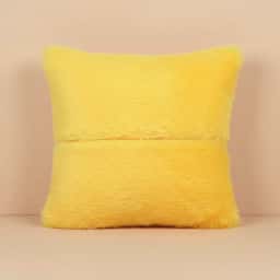 Gift for Sister Photo Printed Cushion