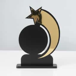 Personalized Star Award for Office