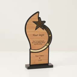 Custom Logo Star Trophy
