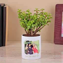 Photo Printed Planter with Jade Plant