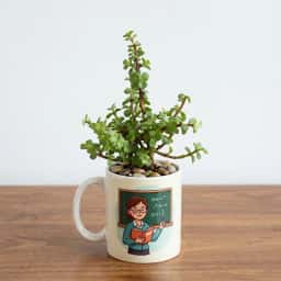 Jade Plant in Teacher Printed Mug