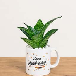 Snake Plant Gift Mug for Anniversary