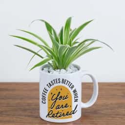 Retirement Mug with Plant