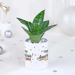 Snake Plant Gift Mug for Anniversary 