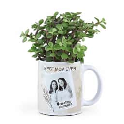 Photo Mug with Jade Plant