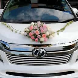 Elegant Wedding Car Decoration