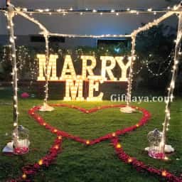 Outdoor Proposal Decoration