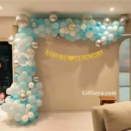 Baby Boy Naming Arch