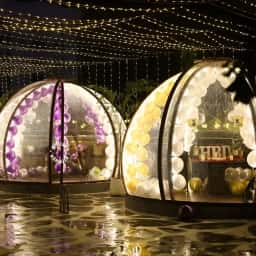 Dome Setup with Dinner