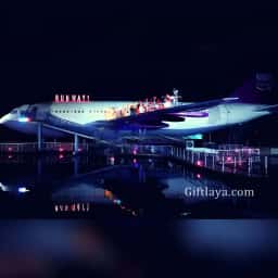 Exclusive Airplane Dinner