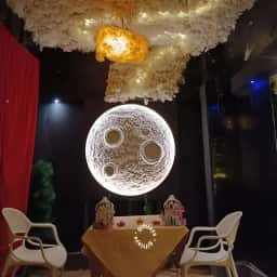 Elegance Under the Moon