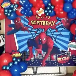 Spider Power Party Setup