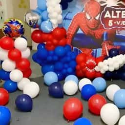 Customized Spiderman Backdrop