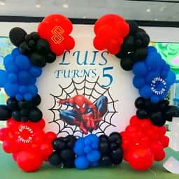 Customized Spiderman Backdrop