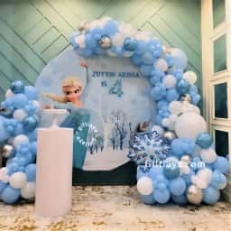 Disney Frozen Theme Decoration