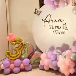 Butterfly Pastel Decoration