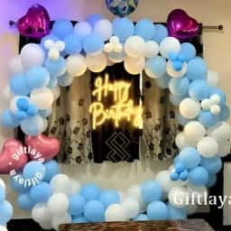 Frozen Theme Backdrop