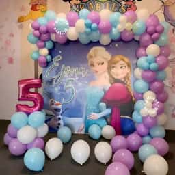 Frozen Wonderland Theme