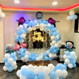 Frozen Theme Backdrop