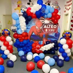 Customized Spiderman Backdrop