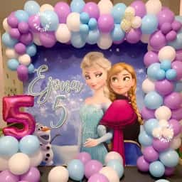 Frozen Wonderland Theme