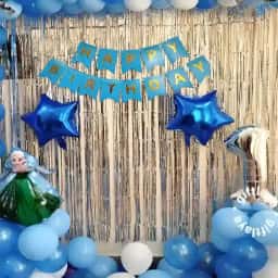 Frozen Theme Decoration