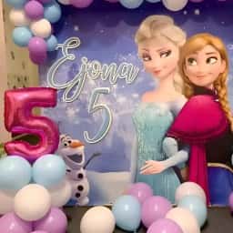 Frozen Wonderland Theme