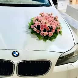 Simple BMW Bridal Car Decoration