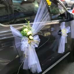 Royal Ride Wedding Car Decor