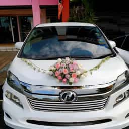 Elegant Wedding Car Decoration