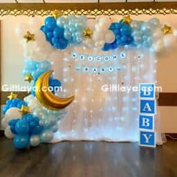 Baby Welcome Backdrop