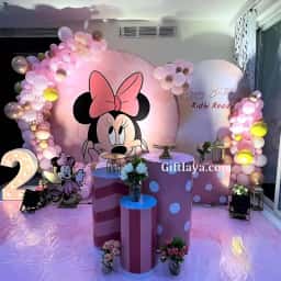 Minnie Mouse Theme Setup