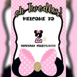 Minnie Mouse Theme Setup